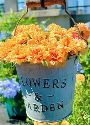 🌹Moss Rose—Immortal Flower