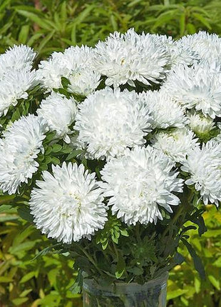 King Size White