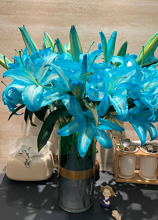 Multicolor Lily Seeds