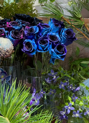 Starry Sky Roses