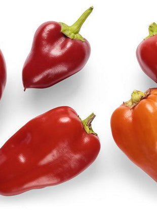 Hot Pepper