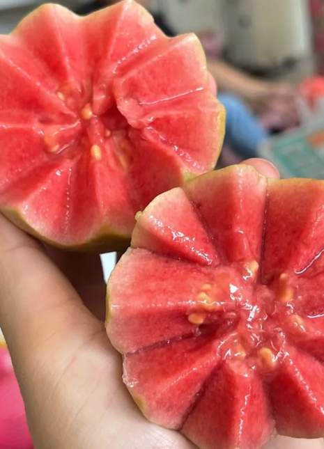 Tropical Strawberry Guava Organic Pink Guava Seeds