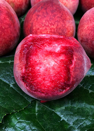Blood Peach Seeds