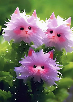 Amazing plants! Cat's eye dazzle Series