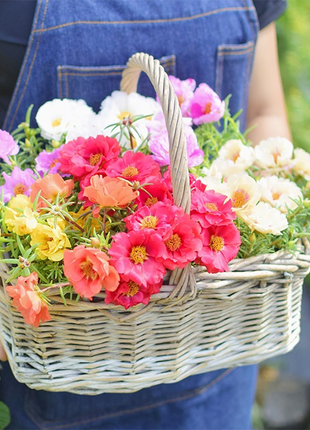 Heavy Petals Pine Leaf Peony