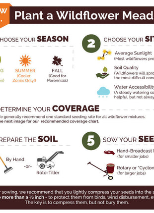 Red Head - Exclusive Red Wildflower Seed Mix