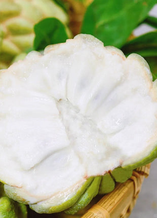 Sugar Apple Seeds