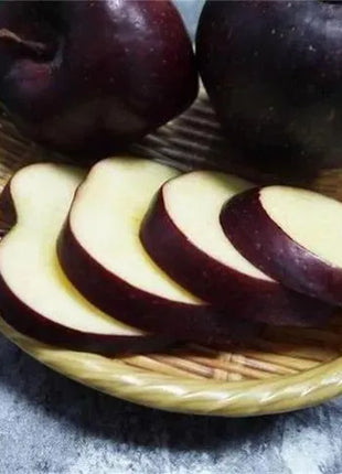 Rare Black Diamond Apple Seeds