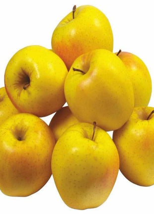 Yellow Apple Tree Organic Heirloom Seeds