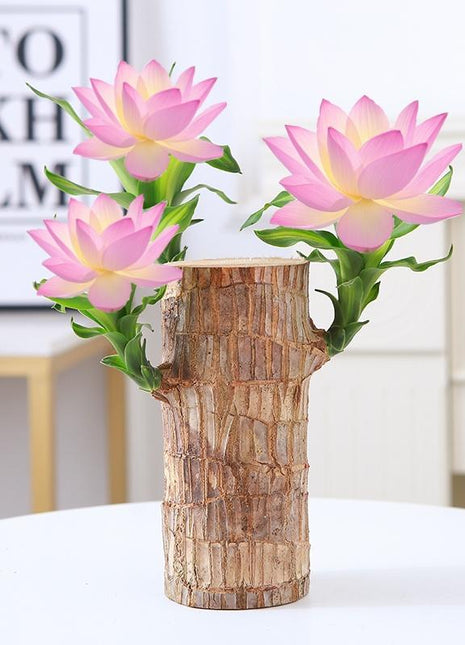 Brazilian Wood Bonsai – Potted Lucky Plant for Desktop or Gift Use