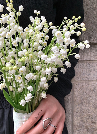 Lily of the Valley Roots