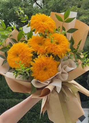 Teddy Bear Sunflower Seeds