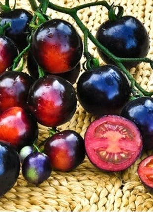 Tomato-Indigo-Rose