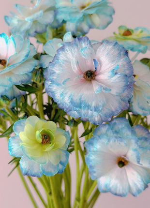 Light Blue Butterfly Peony Flower
