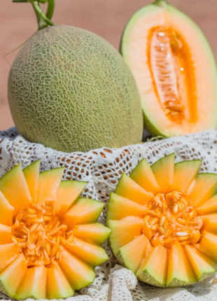 Reticulated Cantaloupe Seeds