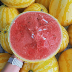 Collection image for: Watermelon