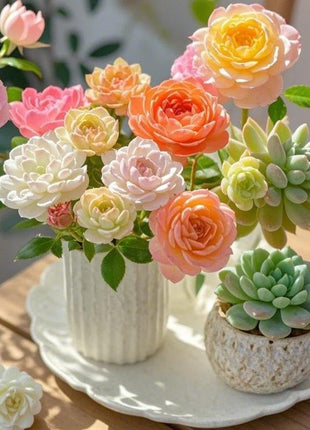 500Pcs Mixed-Color Mountain Rose Succulent Seeds Rare Blooming Succulents for Home & Garden Easy to Grow Drought-Resistant All Seasons