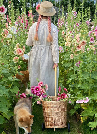 Single Flowered Hollyhock Seeds