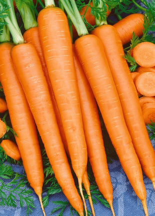 Carrot Nantindo F1