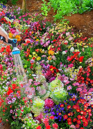 Perennial Flowers Seeds-Over 60 kinds mixed