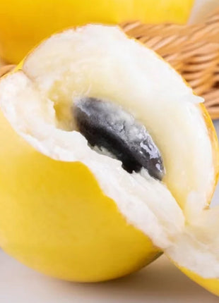 Golden Fruit Seeds