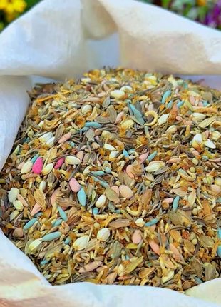 Perennial Flowers Seeds-Over 60 kinds mixed