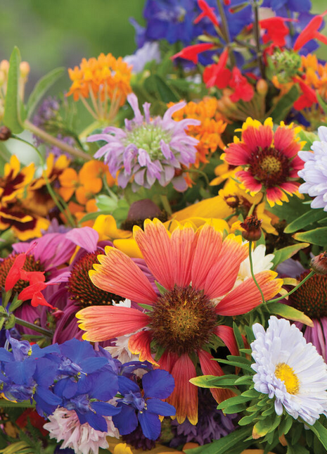 Mixed Wildflower Hummingbird Seeds