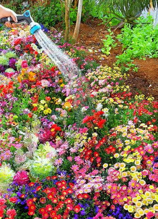 Mixed Perennial Flowers Seeds-Over 60 kinds mixed
