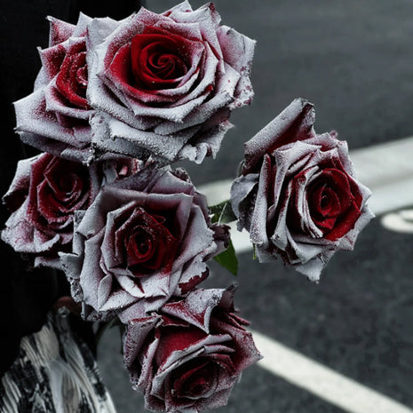 ❄️Falling Snow Thorns Red Rose Seeds