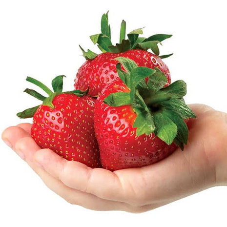 Whopper Strawberry