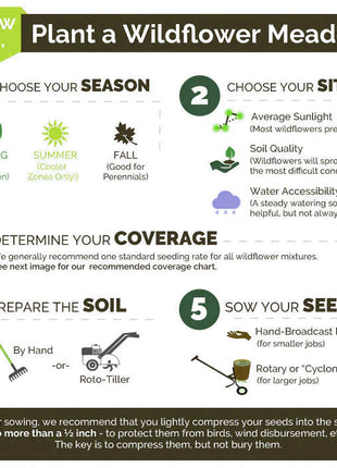 First Year Flowering Perennial Wildflower Seed Mix