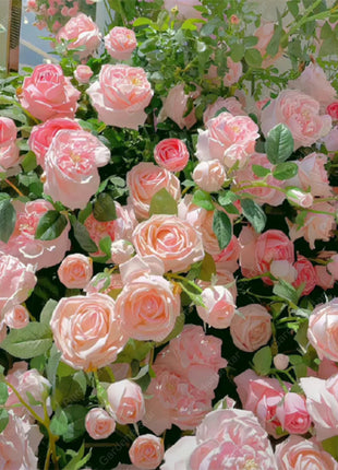 Mixed Climbing Flower Seeds -Over 30 kinds mixed