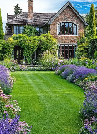 🌱 Evergreen dwarf grass seed for four seasons | Create your perfect lawn here