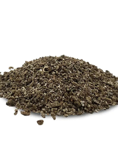 Wildflower Seeds Shaker Bag, Sunny Meadow Flower Mix