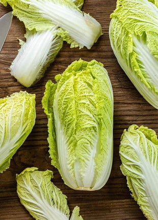 Cabbage Bilko F1 Organic
