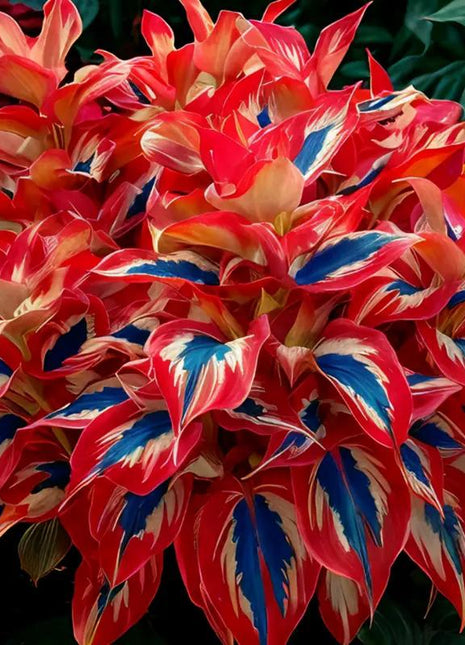 800pcs Mixed Color Hosta Seeds – Vibrant Shade-Loving Foliage for Stunning Ground Cover