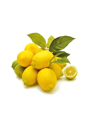 High Survival Rate Lemon Tree Seeds