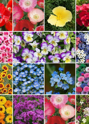 Midwest Wildflower Seed Mix