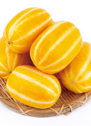 Golden Melon Seeds