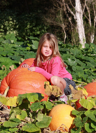 Giant Organic Crop Seeds