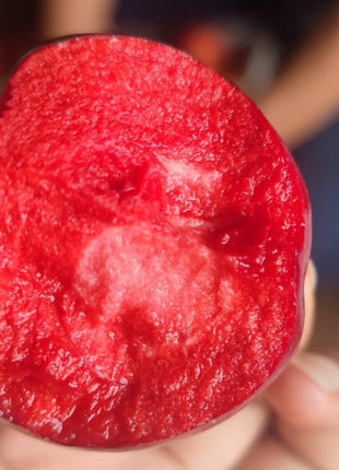 Red Flesh Apple Seeds