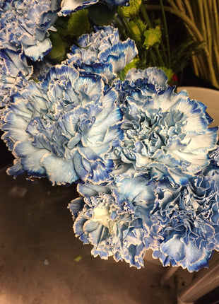 Mixed Color Carnations