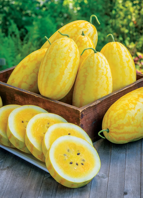 Gold In Gold Hybrid Watermelon Seeds