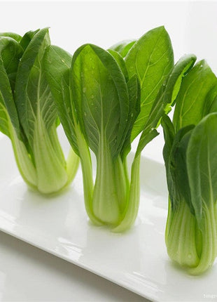All year round 200pcs Chinese cabbage seeds