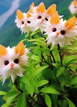 Amazing plants! Cat's eye dazzle Series